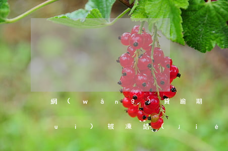 網(wǎng)貸逾期沒有起訴微信會(huì)被凍結(jié)嗎-網(wǎng)貸逾期沒有起訴微信會(huì)被凍結(jié)嗎