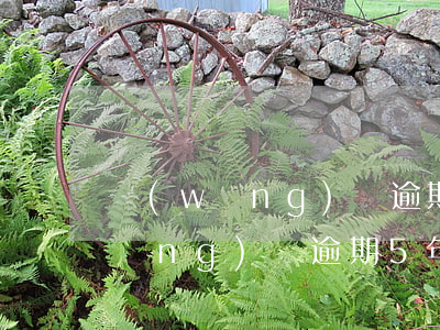 網(wǎng)貸逾期沒有超過5年(網(wǎng)貸逾期5年后還會有影響嗎)