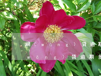 網(wǎng)貸逾期沒有超過90天(網(wǎng)貸逾期多少天)