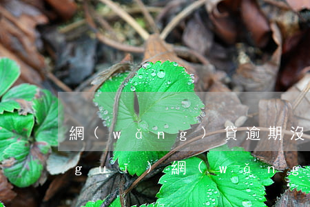 網(wǎng)貸逾期沒臉回家過年(正規(guī)網(wǎng)貸逾期不還的后果)