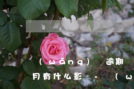 網(wǎng)貸逾期沒超過一個(gè)月有什么影響-網(wǎng)貸逾期沒超過一個(gè)月有什么影響嗎