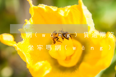 網(wǎng)貸逾期沒還上會(huì)坐牢嗎(網(wǎng)貸逾期沒還會(huì)不會(huì)坐牢)