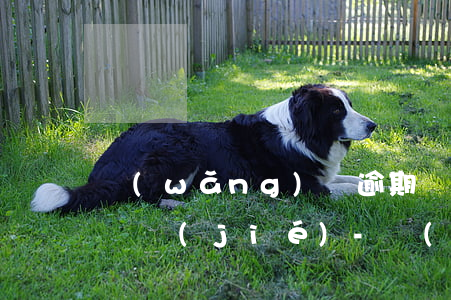 網(wǎng)貸逾期沒還信用卡會不會被凍結(jié)-網(wǎng)貸逾期沒還信用卡會不會被凍結(jié)賬戶