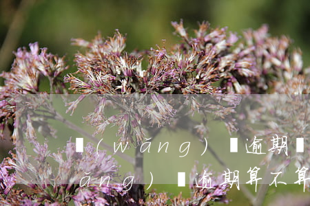 網(wǎng)貸逾期沒還是老賴嗎(網(wǎng)貸逾期算不算老賴)