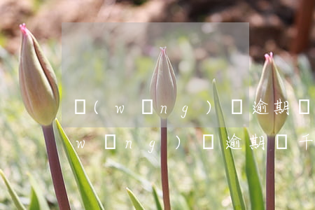 網(wǎng)貸逾期沒錢還會上門嗎(網(wǎng)貸逾期幾千塊錢會上門嗎)