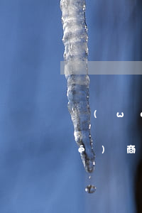 網(wǎng)貸逾期沒錢還還不協(xié)商(網(wǎng)貸逾期沒錢還還不協(xié)商)