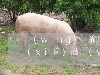 網(wǎng)貸逾期法務(wù)如何協(xié)商(網(wǎng)貸逾期法務(wù)如何協(xié)商還本金)