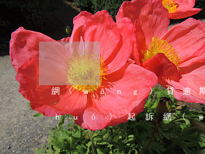 網(wǎng)貸逾期法務(wù)說(shuō)起訴(網(wǎng)貸逾期說(shuō)起訴我)