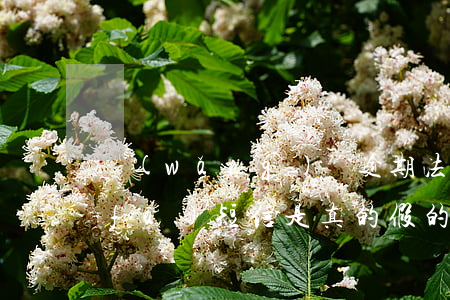 網(wǎng)貸逾期法務(wù)部發(fā)短信是真的假的-網(wǎng)貸逾期法務(wù)部發(fā)短信是真的假的啊
