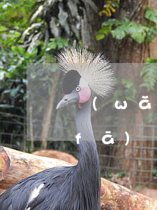 網(wǎng)貸逾期法務(wù)部發(fā)郵件