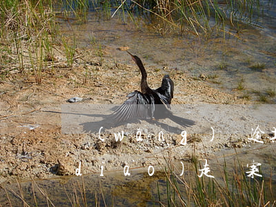 網(wǎng)貸逾期法務(wù)部調(diào)走檔案