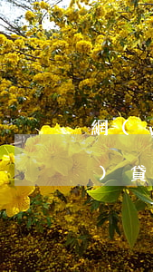 網(wǎng)貸逾期法務部(網(wǎng)貸逾期法務部調(diào)取檔案)