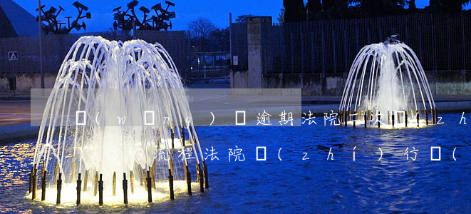 網(wǎng)貸逾期法院二次執(zhí)行的流程(法院執(zhí)行網(wǎng)貸逾期怎么處理)
