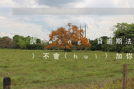 網(wǎng)貸逾期法院人員會(huì)不會(huì)加你微信-網(wǎng)貸平臺(tái)逾期了法院工作人員找我