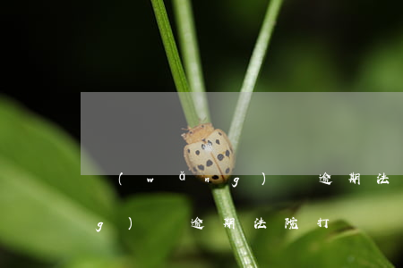 網(wǎng)貸逾期法院傳喚 網(wǎng)貸逾期法院打電話