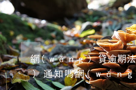 網(wǎng)貸逾期法院判決會(huì)通知嗎(網(wǎng)貸逾期,對(duì)方發(fā)了訴訟通知)