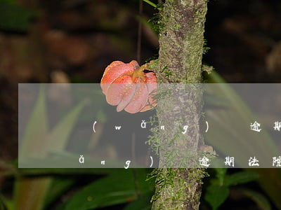 網(wǎng)貸逾期法院受理不通（網(wǎng)貸逾期法院受理不通）