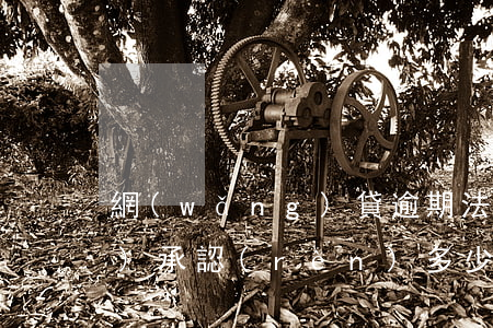 網(wǎng)貸逾期法院受理會(huì)承認(rèn)多少利息-網(wǎng)貸逾期法院受理會(huì)承認(rèn)多少利息呢