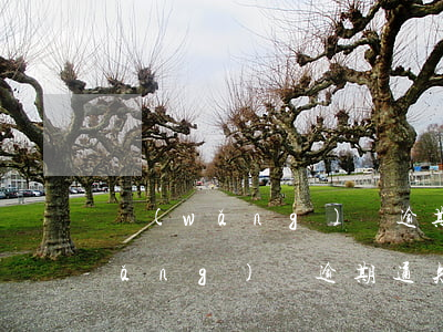 網(wǎng)貸逾期法院怎么通知(網(wǎng)貸逾期通知開庭)