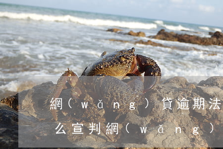 網(wǎng)貸逾期法院會(huì)怎么宣判(網(wǎng)貸逾期多長(zhǎng)時(shí)間才有可能被告上法庭)