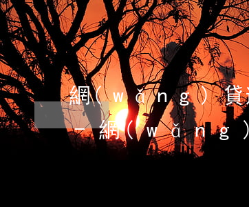 網(wǎng)貸逾期法院會如何判決還款-網(wǎng)貸逾期法院會怎么判