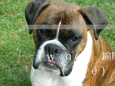 網(wǎng)貸逾期法院有權(quán)凍結(jié)親屬財(cái)產(chǎn)嗎 網(wǎng)貸逾期了會(huì)被凍結(jié)財(cái)產(chǎn)嗎