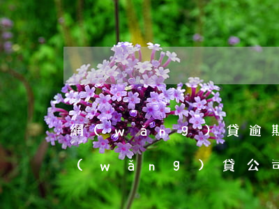 網(wǎng)貸逾期法院異地如何宣判(網(wǎng)貸公司異地起訴異地判決)