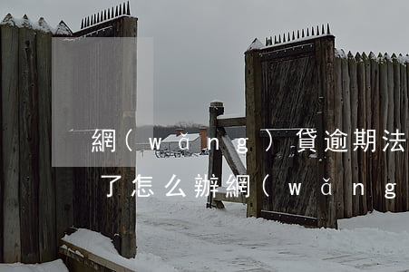 網(wǎng)貸逾期法院發(fā)傳票了怎么辦(網(wǎng)貸逾期接到法院傳票)