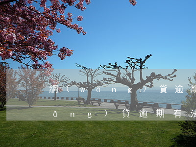 網(wǎng)貸逾期法院短信驗證 網(wǎng)貸逾期有法律短信