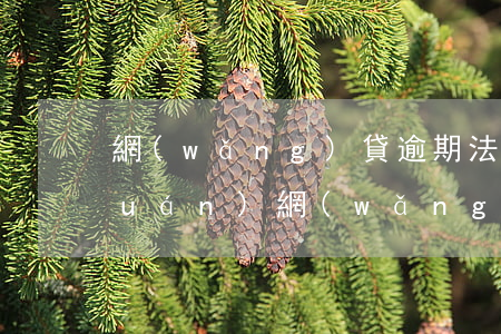 網(wǎng)貸逾期法院立案管轄權(quán)(網(wǎng)絡(luò)貸款逾期會法院立案嗎)