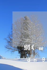 網(wǎng)貸逾期法院管不管-網(wǎng)貸逾期法律咨詢