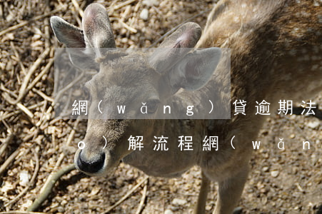 網(wǎng)貸逾期法院訴前調(diào)解流程(網(wǎng)貸逾期訴前調(diào)解員)