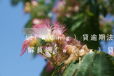 網(wǎng)貸逾期法院調(diào)解員(網(wǎng)貸逾期法院調(diào)解員有責(zé)任嗎)