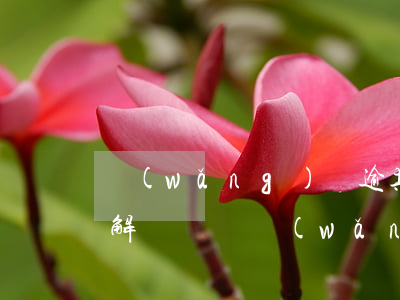網(wǎng)貸逾期法院調(diào)解錄視頻(網(wǎng)貸逾期網(wǎng)上法庭是真的嗎)