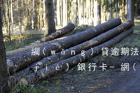 網(wǎng)貸逾期法院起訴多久凍結(jié)銀行卡-網(wǎng)貸逾期法院起訴多久凍結(jié)銀行卡賬戶(hù)