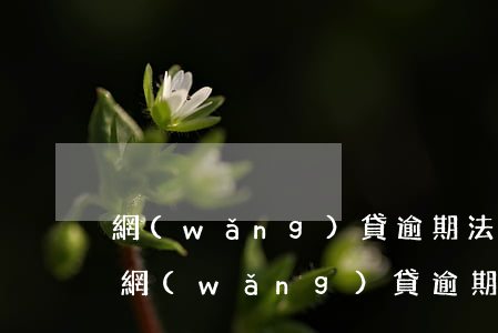 網(wǎng)貸逾期法院起訴如何還款-網(wǎng)貸逾期法院起訴怎么處理