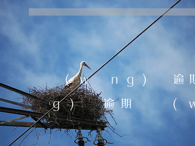 網(wǎng)貸逾期注冊公司（網(wǎng)貸逾期開網(wǎng)店）