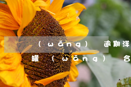 網(wǎng)貸逾期洋錢罐借錢條件(洋錢罐網(wǎng)貸合法嗎)