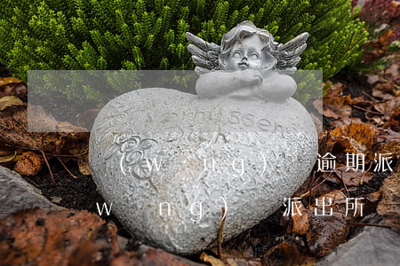 網(wǎng)貸逾期派出所會找嘛(欠網(wǎng)貸派出所會不會抓)