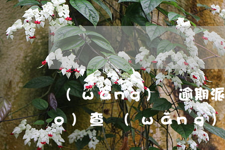 網(wǎng)貸逾期派出所說調(diào)查(網(wǎng)貸逾期會不會走訪)