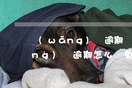 網(wǎng)貸逾期減免的套路(網(wǎng)貸逾期怎么減免逾期費(fèi)用)