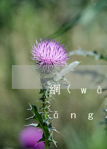 網(wǎng)貸逾期滯納金超本金(網(wǎng)貸逾期滯納金收費(fèi)標(biāo)準(zhǔn))
