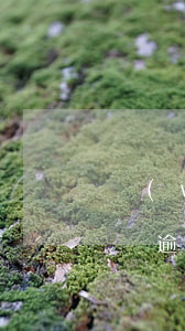 網(wǎng)貸逾期滾息(網(wǎng)貸逾期會一直滾利息嗎?)