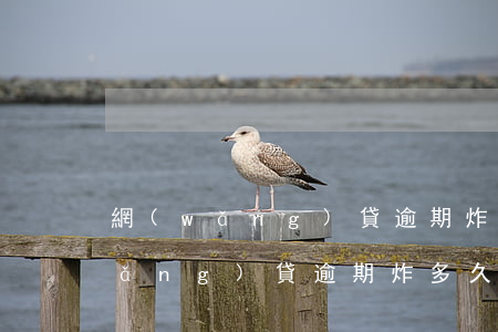 網(wǎng)貸逾期炸多久通訊錄(網(wǎng)貸逾期炸多久通訊錄)