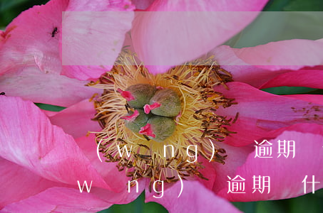 網(wǎng)貸逾期為什么不愿償還(網(wǎng)貸逾期為什么不愿償還)