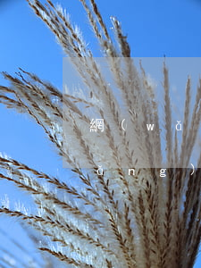網(wǎng)貸逾期為什么換號碼(網(wǎng)貸逾期可以改名字嗎)