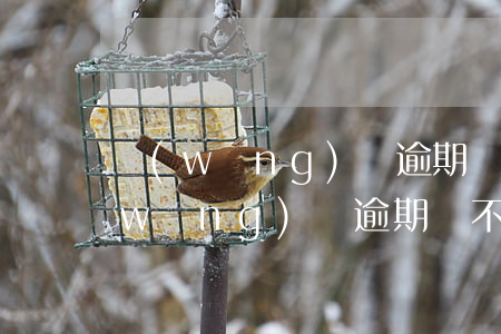 網(wǎng)貸逾期為什么會封微信(網(wǎng)貸逾期會不會限制微信交易)