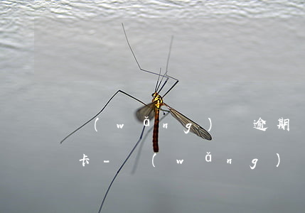 網(wǎng)貸逾期為什么申請不了信用卡-網(wǎng)貸逾期為什么申請不了信用卡了