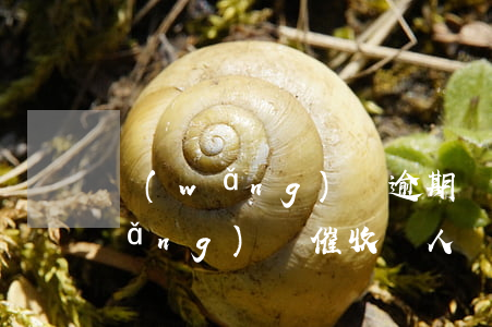 網(wǎng)貸逾期為什么還罵人(網(wǎng)貸催收罵人)