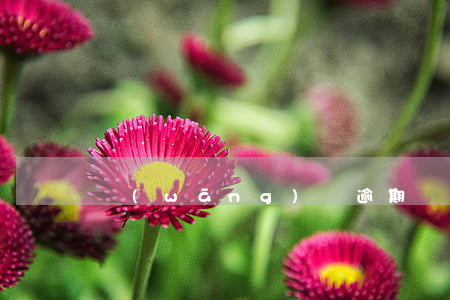 網(wǎng)貸逾期為何查不到征信